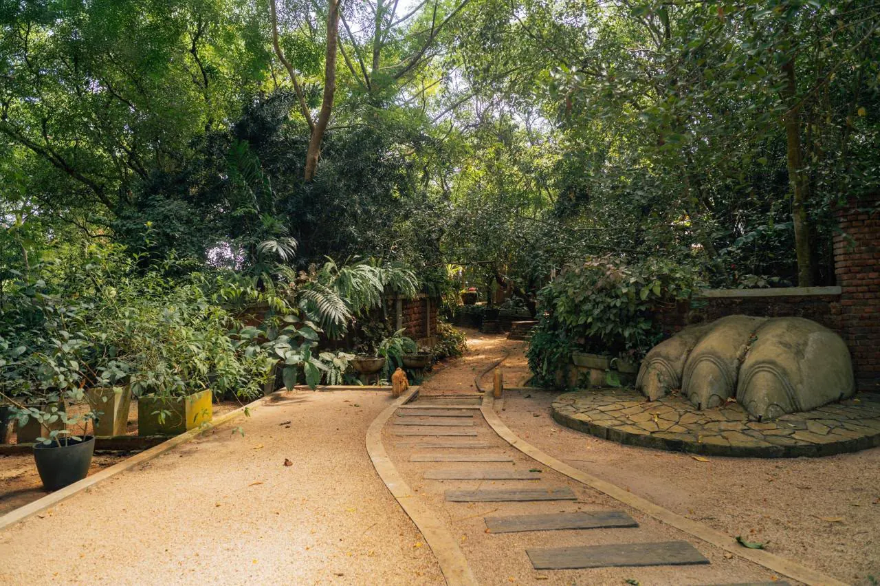 Sinharaja Zone